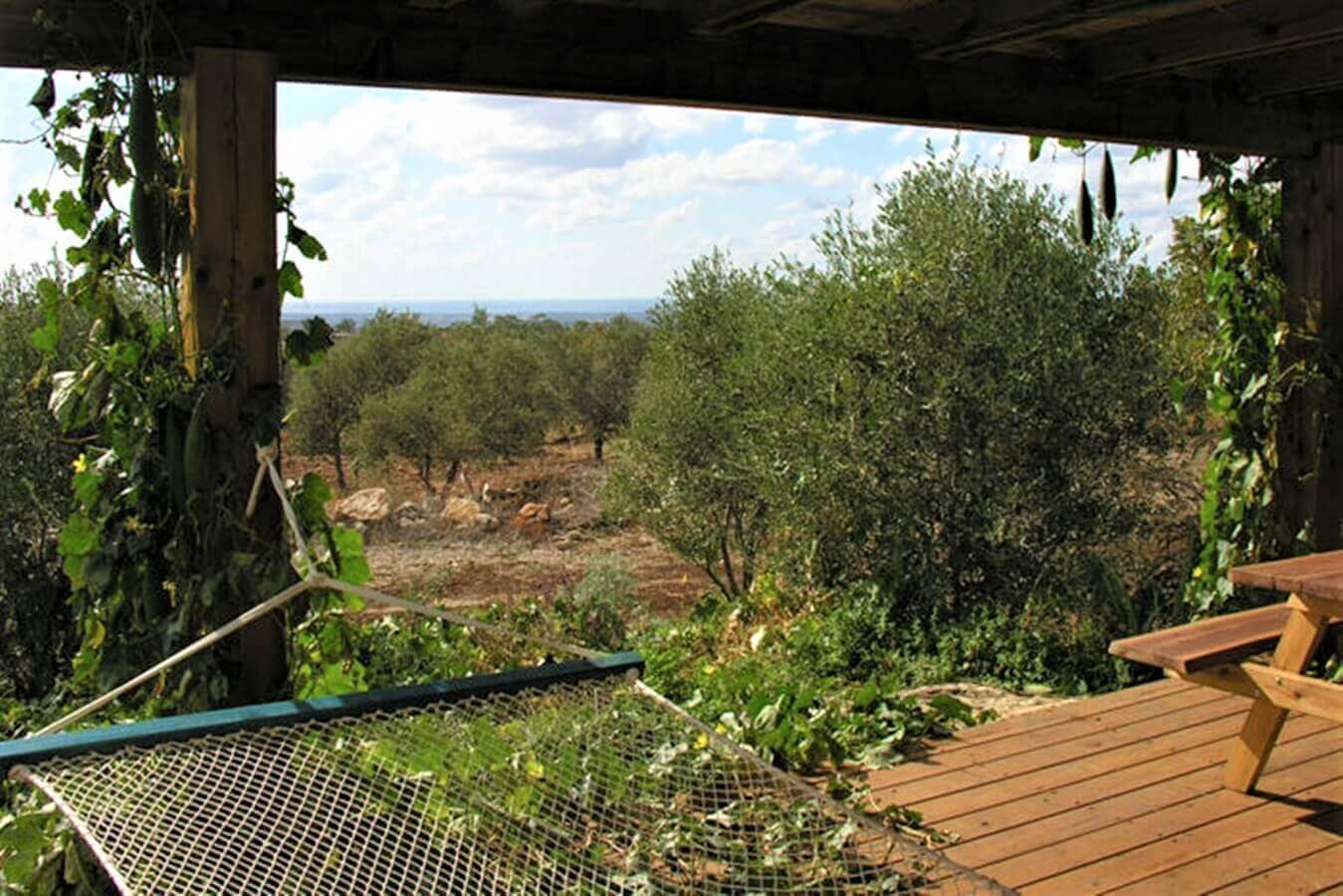 תמונה של הבקתה המשפחתית - 9