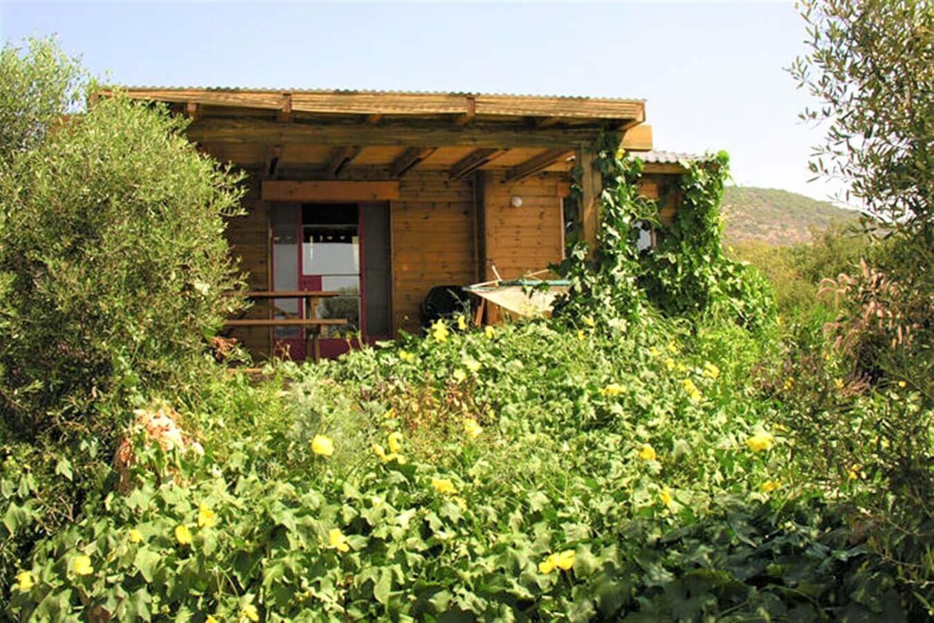 תמונה של הבקתה המשפחתית - 8