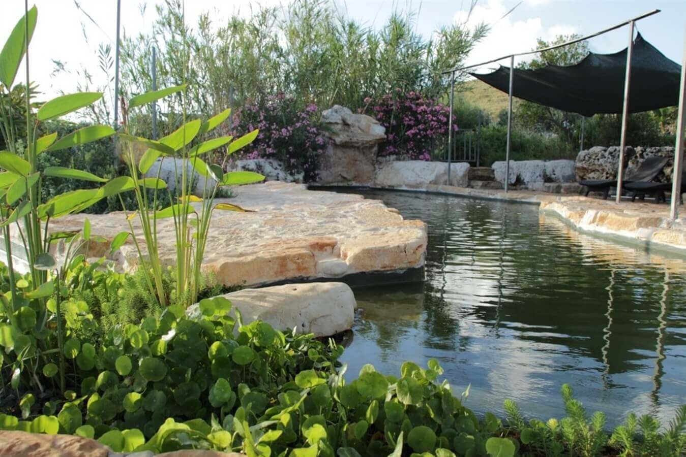 תמונה של הוילה - 11