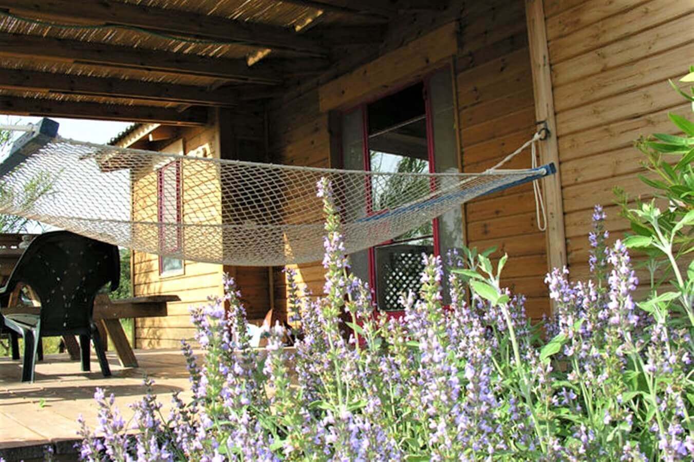 תמונה של הבקתה המשפחתית - 7