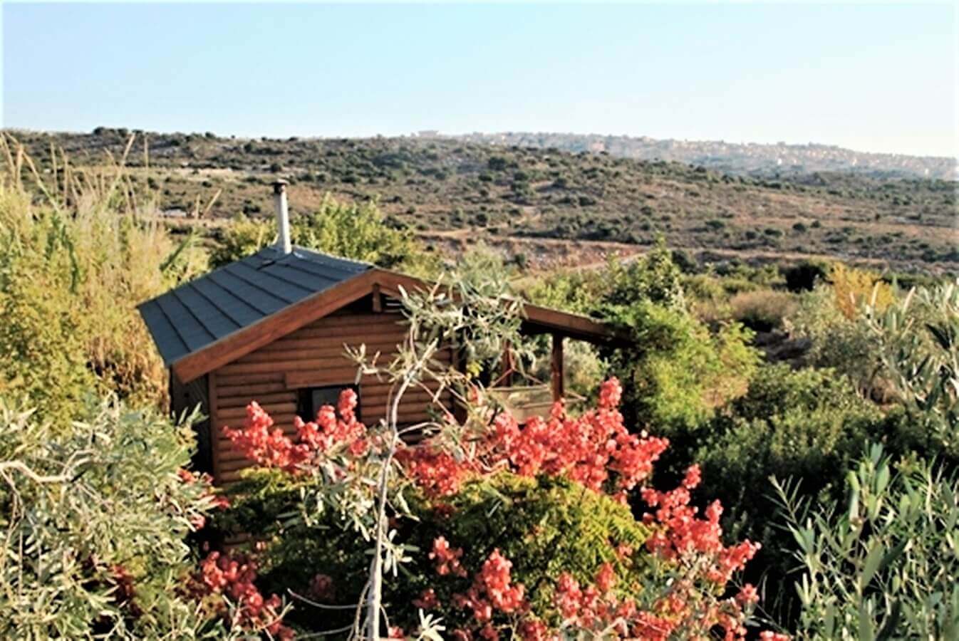 תמונה של הבקתה הזוגית - 6