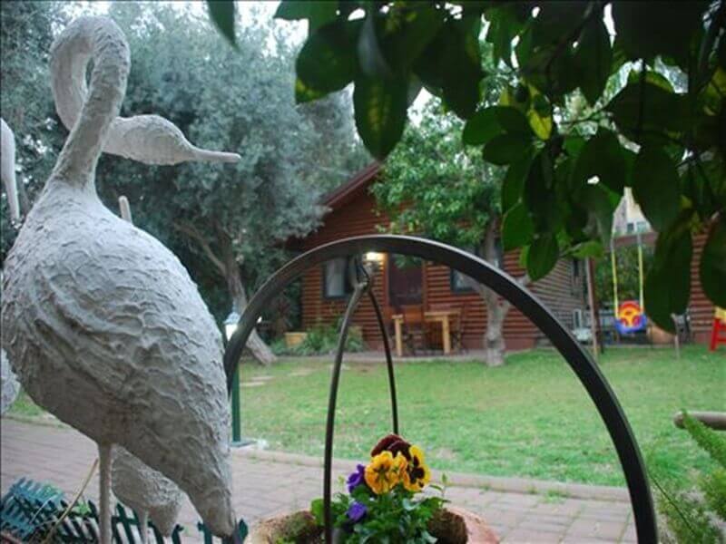 תמונה של בקתות העץ - 9