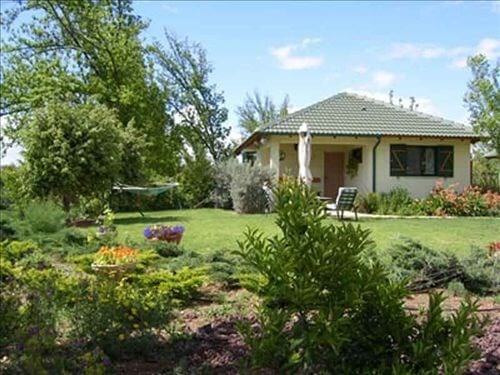 תמונה שצולמה באצל אמירה וג'ורג - סוויטות אירוח - 1 תמונה של אצל אמירה וג'ורג - סוויטות אירוח - 1