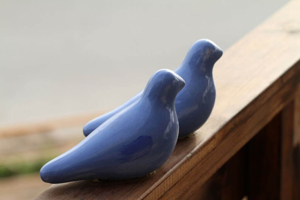 תמונה של הצימר של ניר - 6