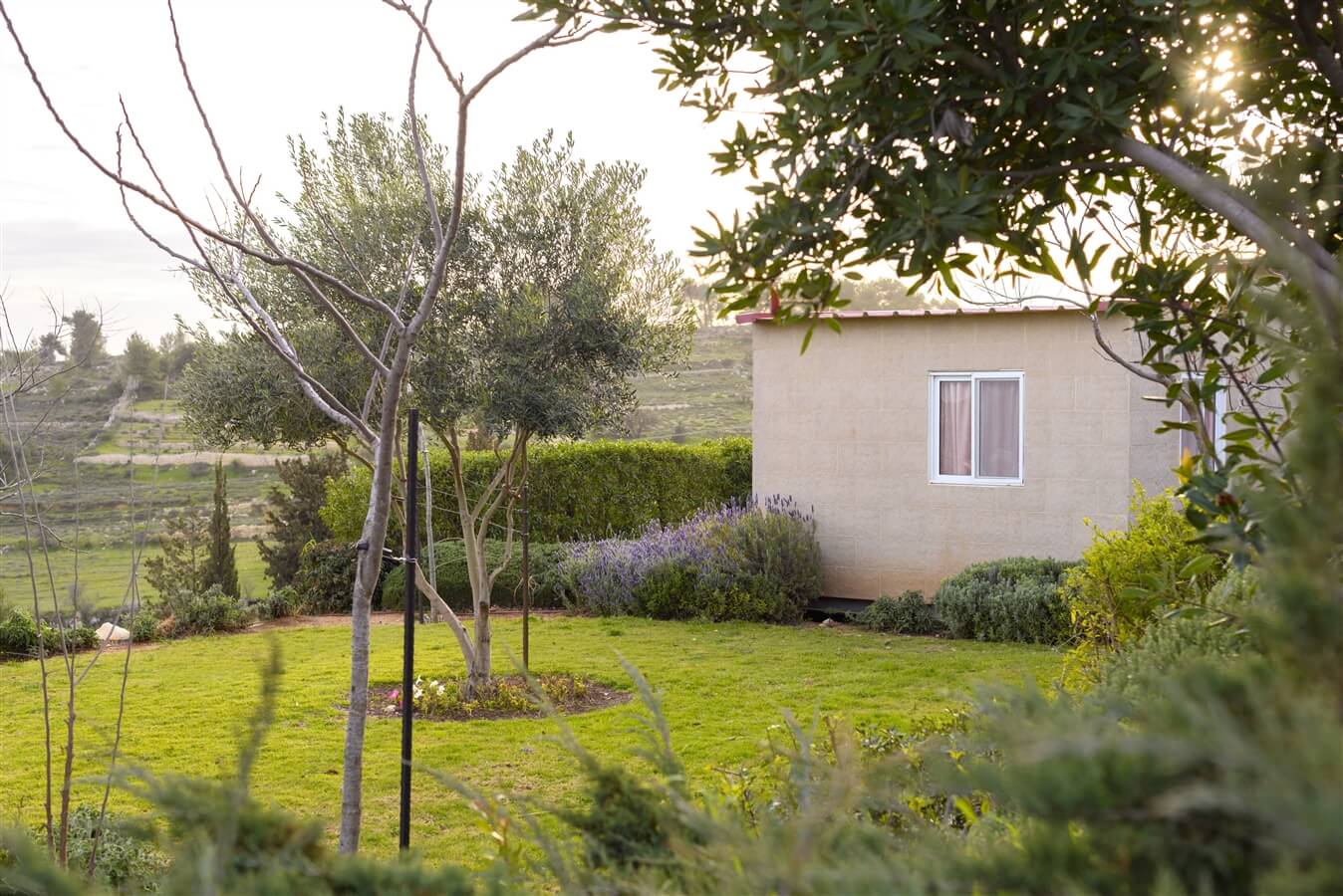 תמונה של יחידות האירוח - 6