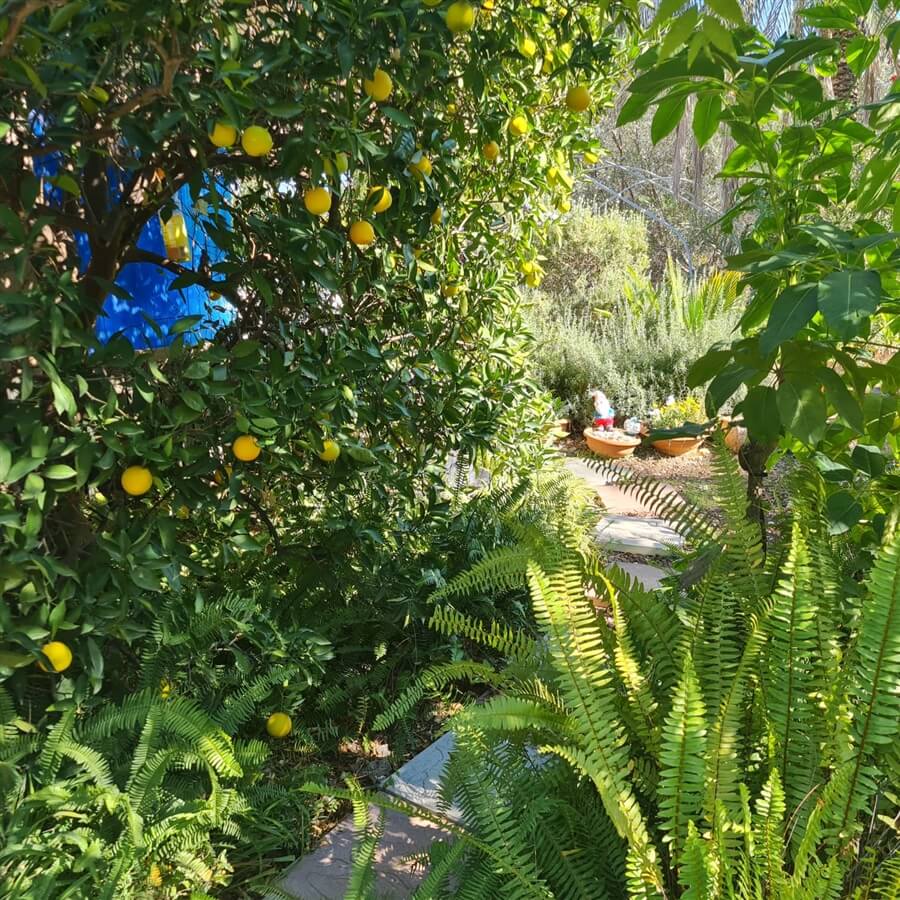 תמונה של הבקתה השניה - 8