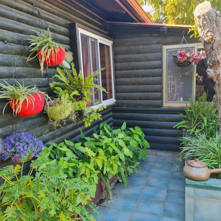 תמונה של הבקתה השניה - 7