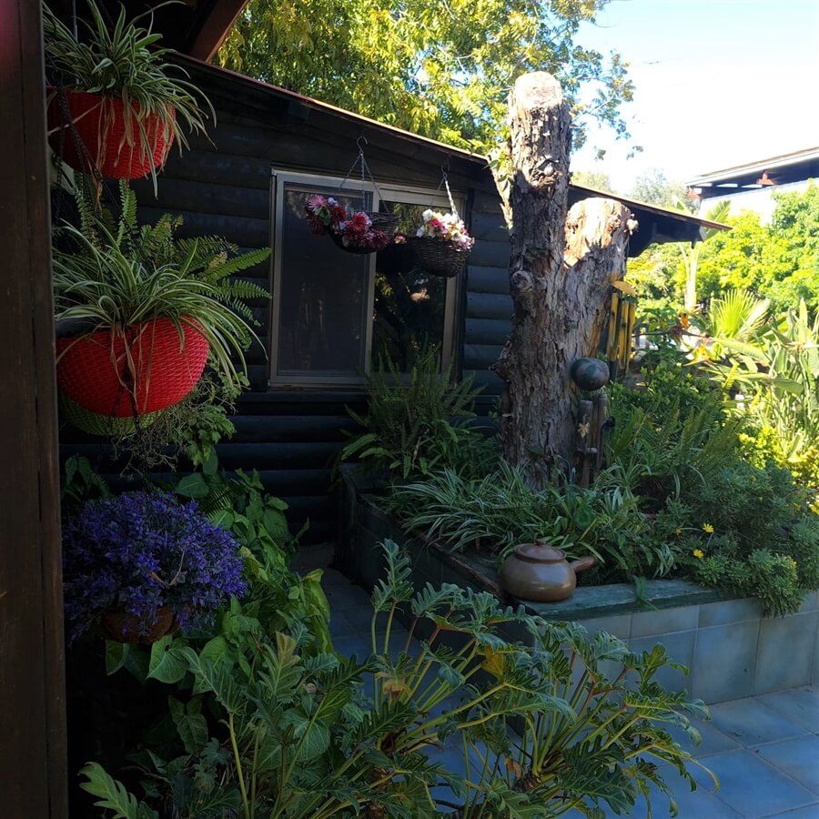 תמונה של הבקתה הראשונה - 6