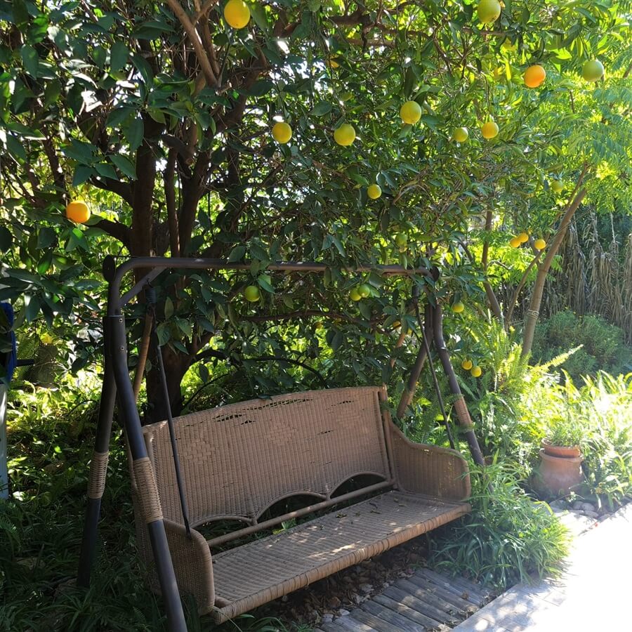 תמונה של הבקתה הראשונה - 5