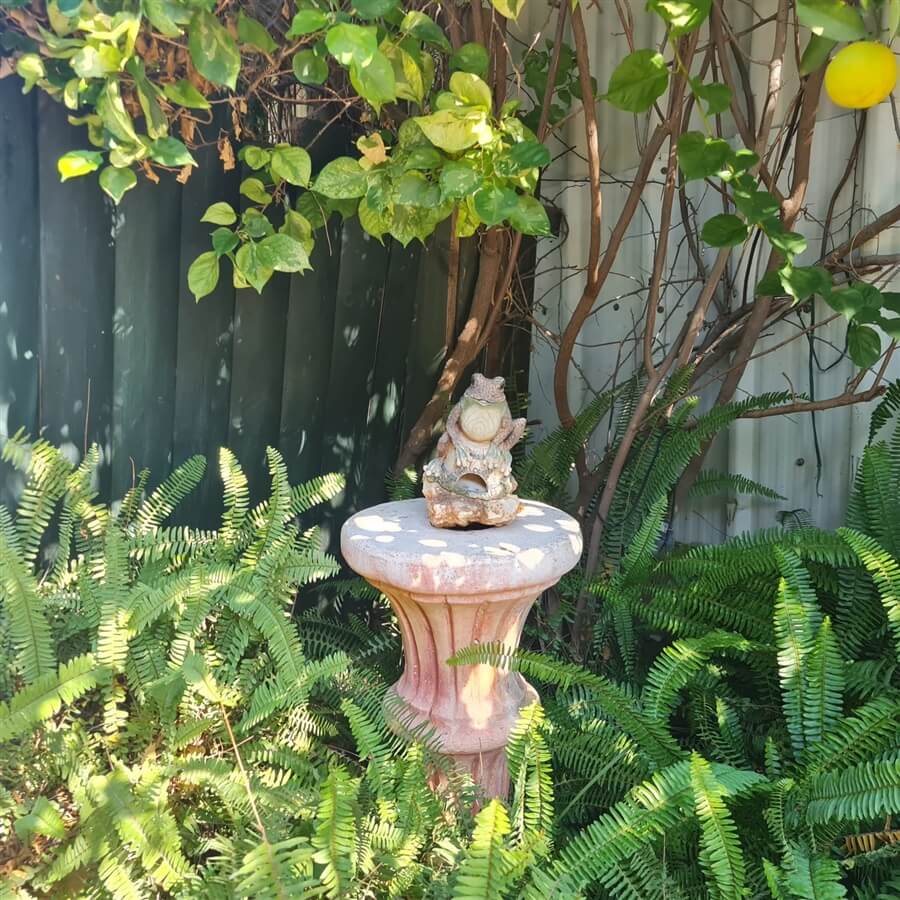 תמונה של הבקתה השניה - 5