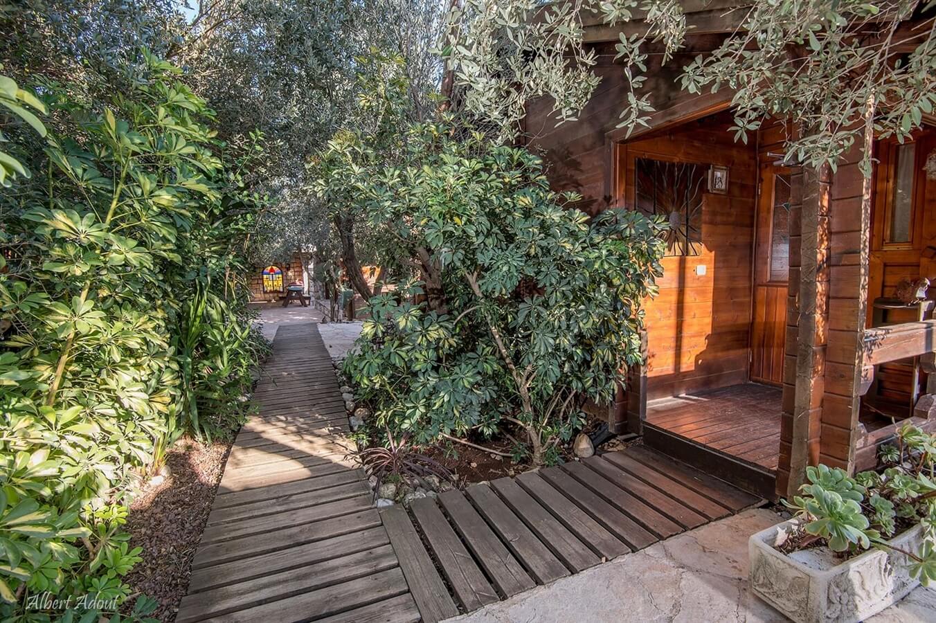 תמונה של סוויטת זוהר - 12 תמונה של סוויטת זוהר - 12