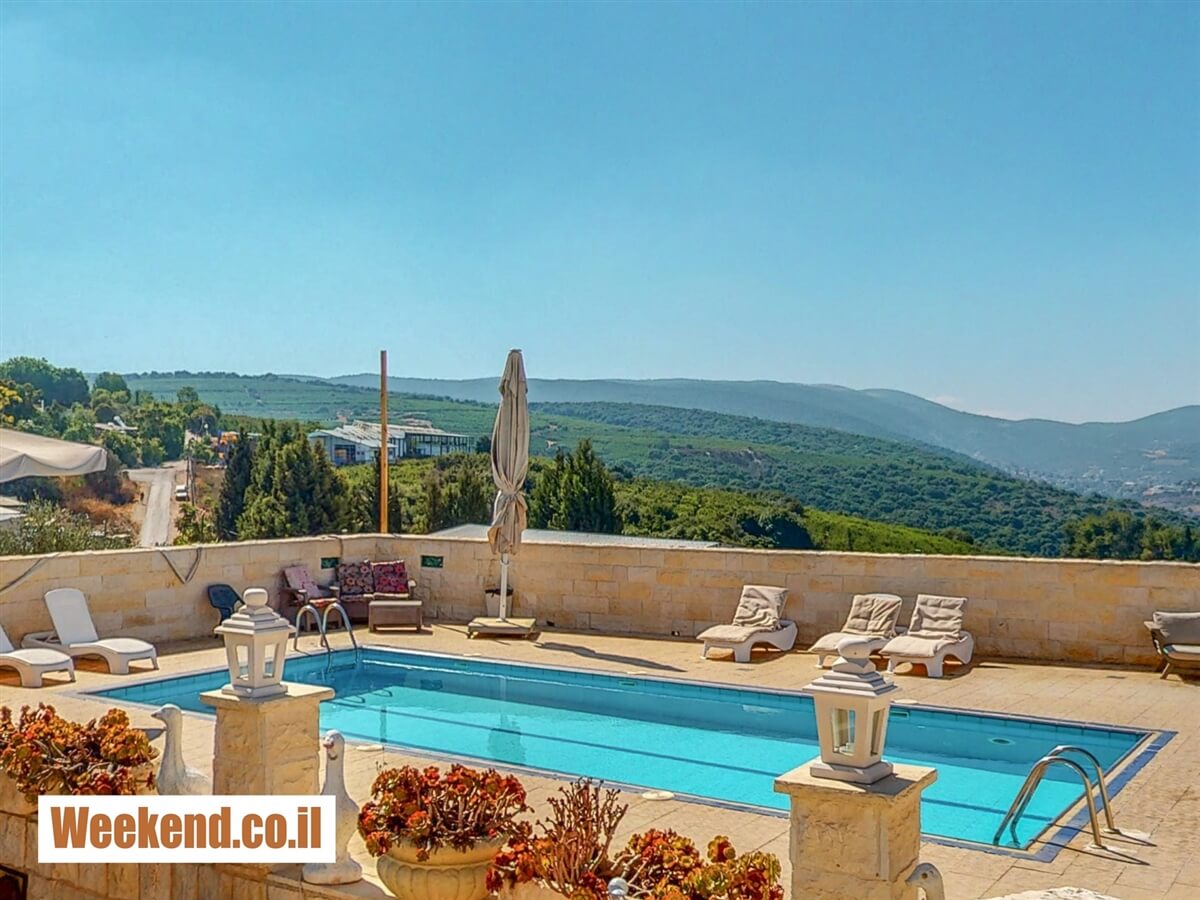 תמונה שצולמה בבצל עצי הזית - 1 תמונה של בצל עצי הזית - 1