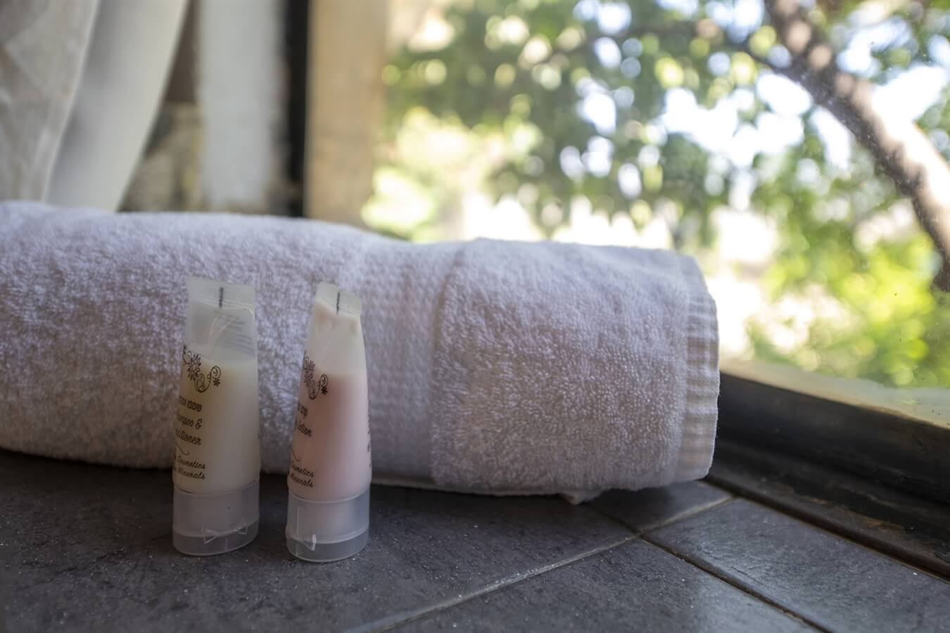 תמונה של הצימר - 6