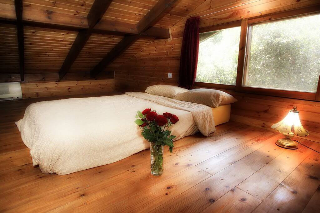 תמונה של בקתת היער - 9