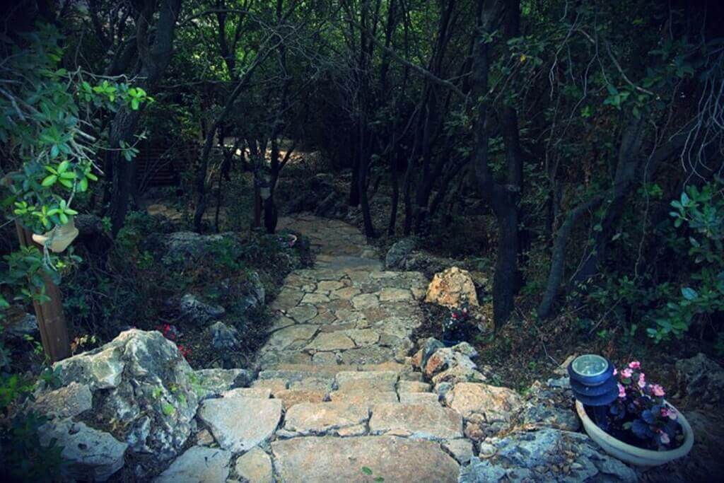 תמונה של בקתת היער - 2