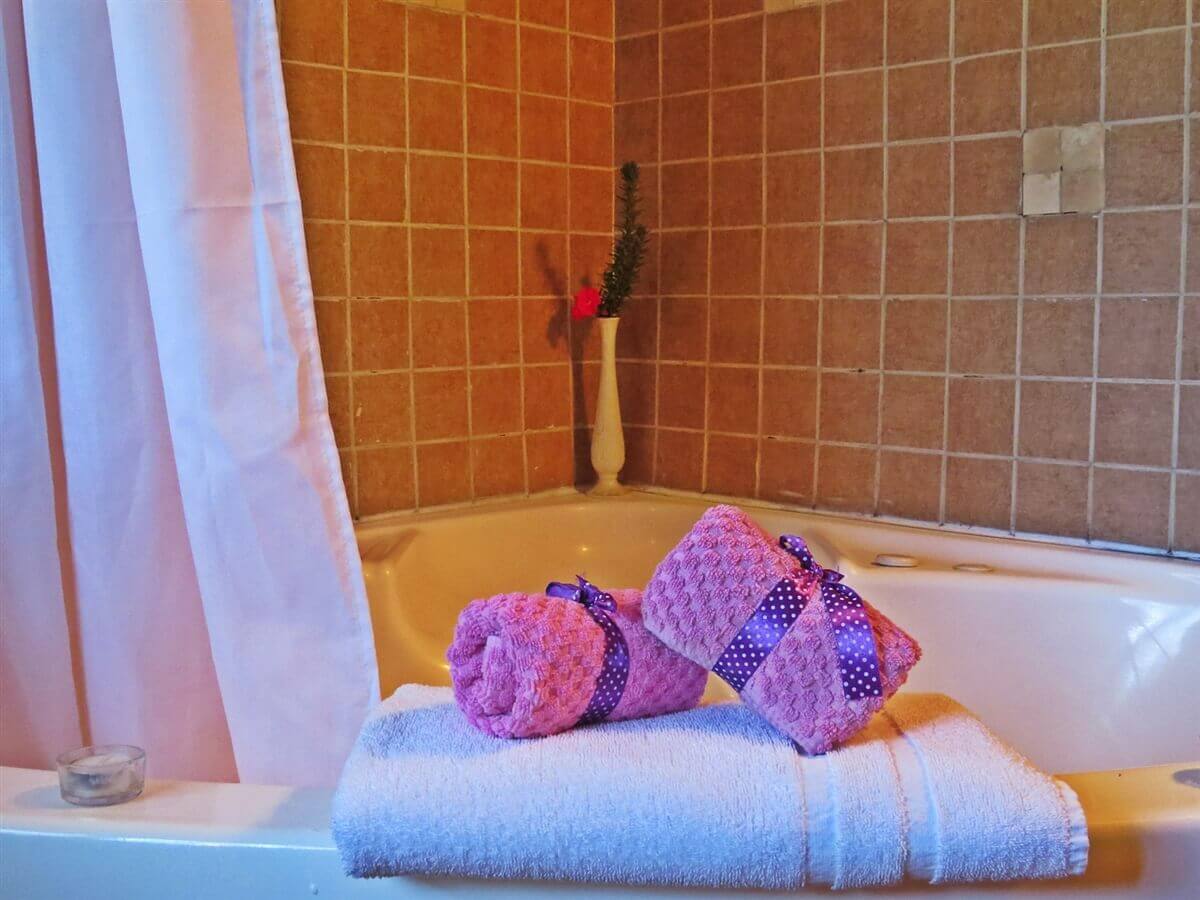 תמונה של בקתת היער - 3