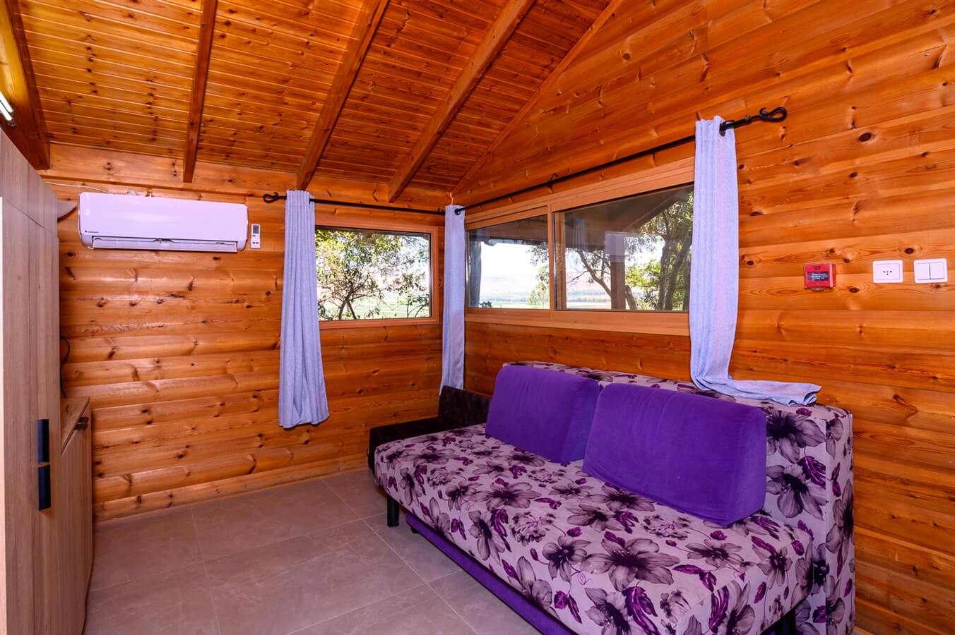 תמונה של שרדונה - 19