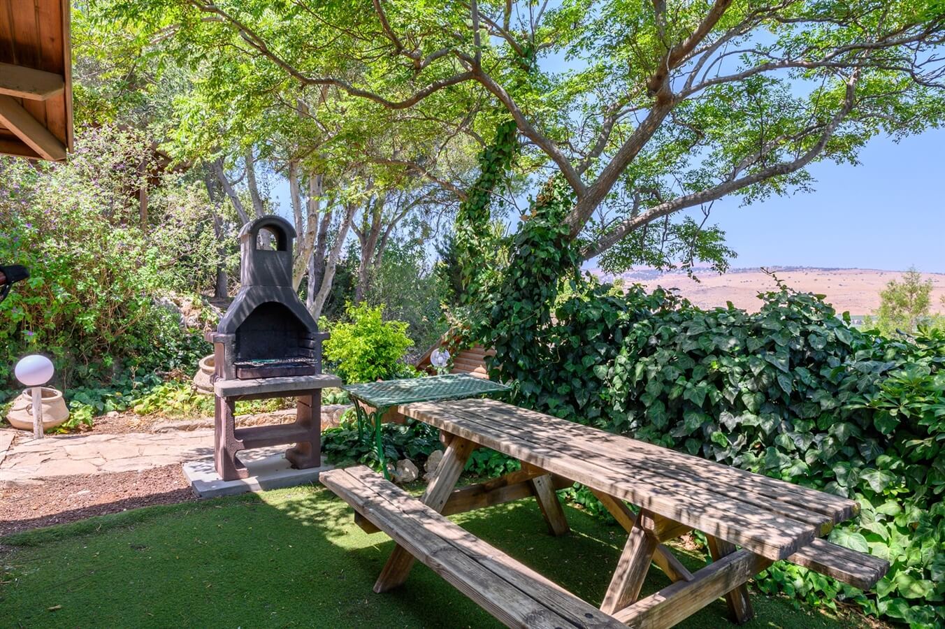 תמונה של שרדונה - 7