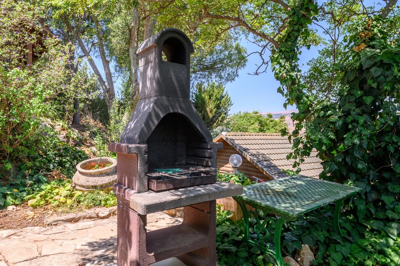 תמונה של שרדונה - 6