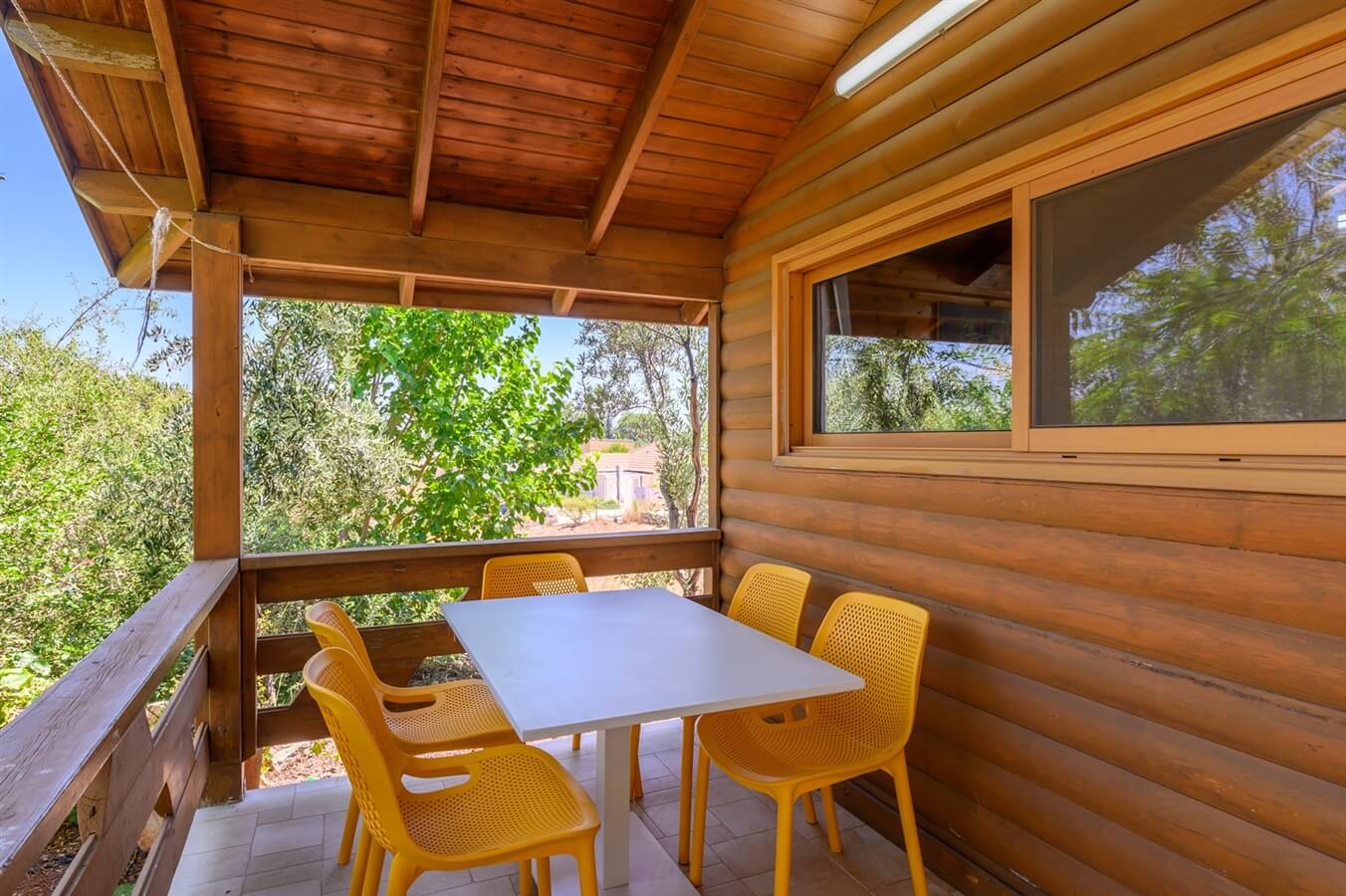 תמונה של שרדונה - 2