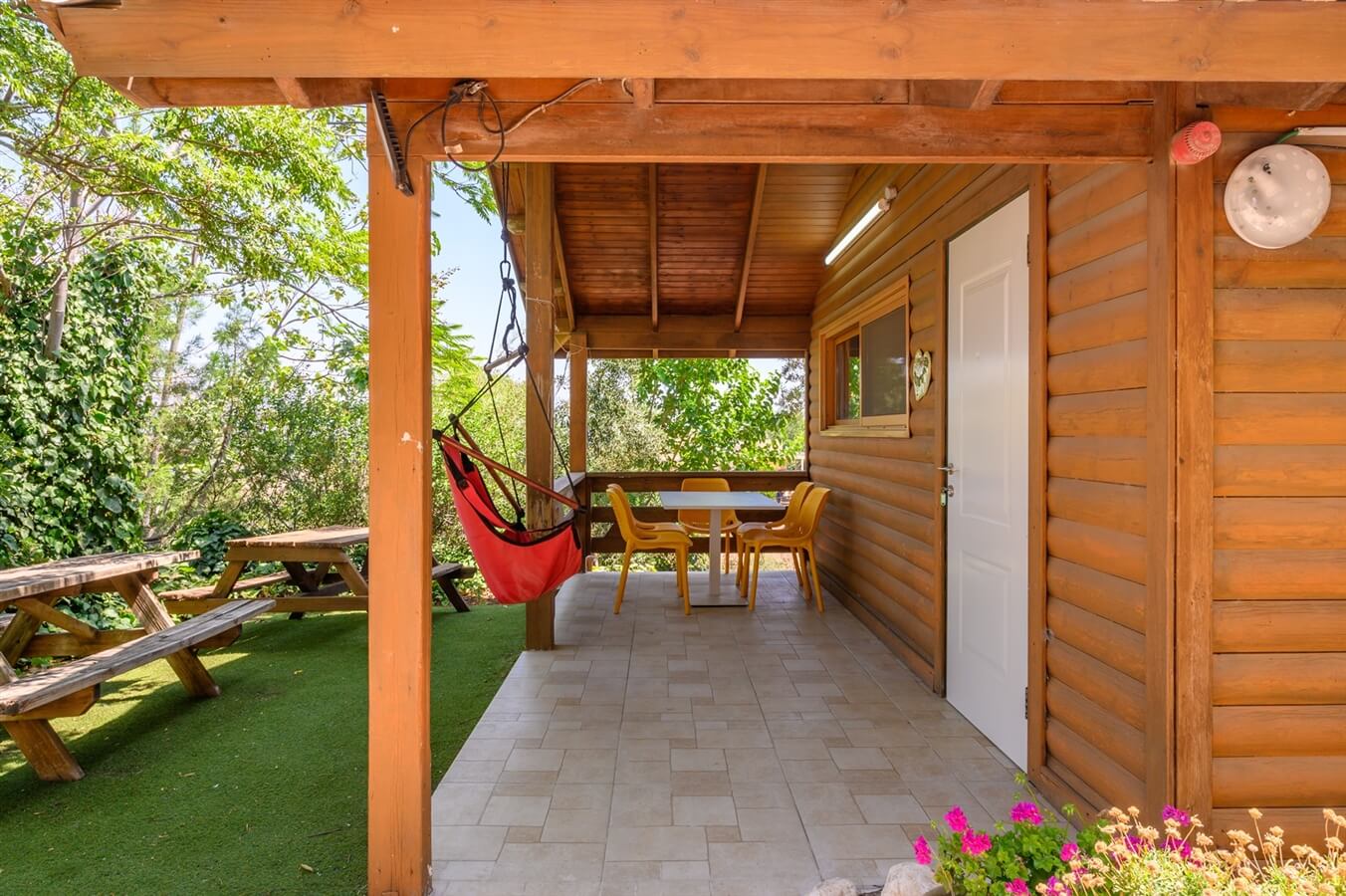 תמונה של שרדונה - 3