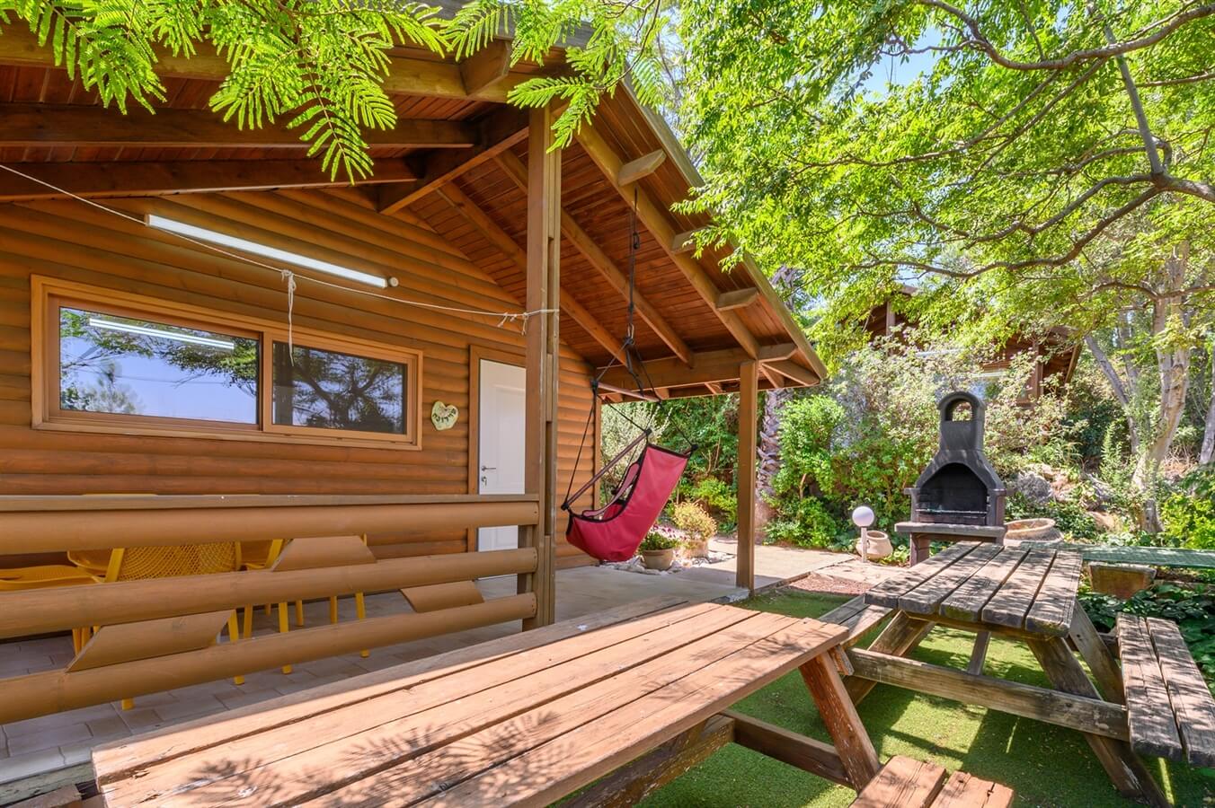 תמונה של שרדונה - 9