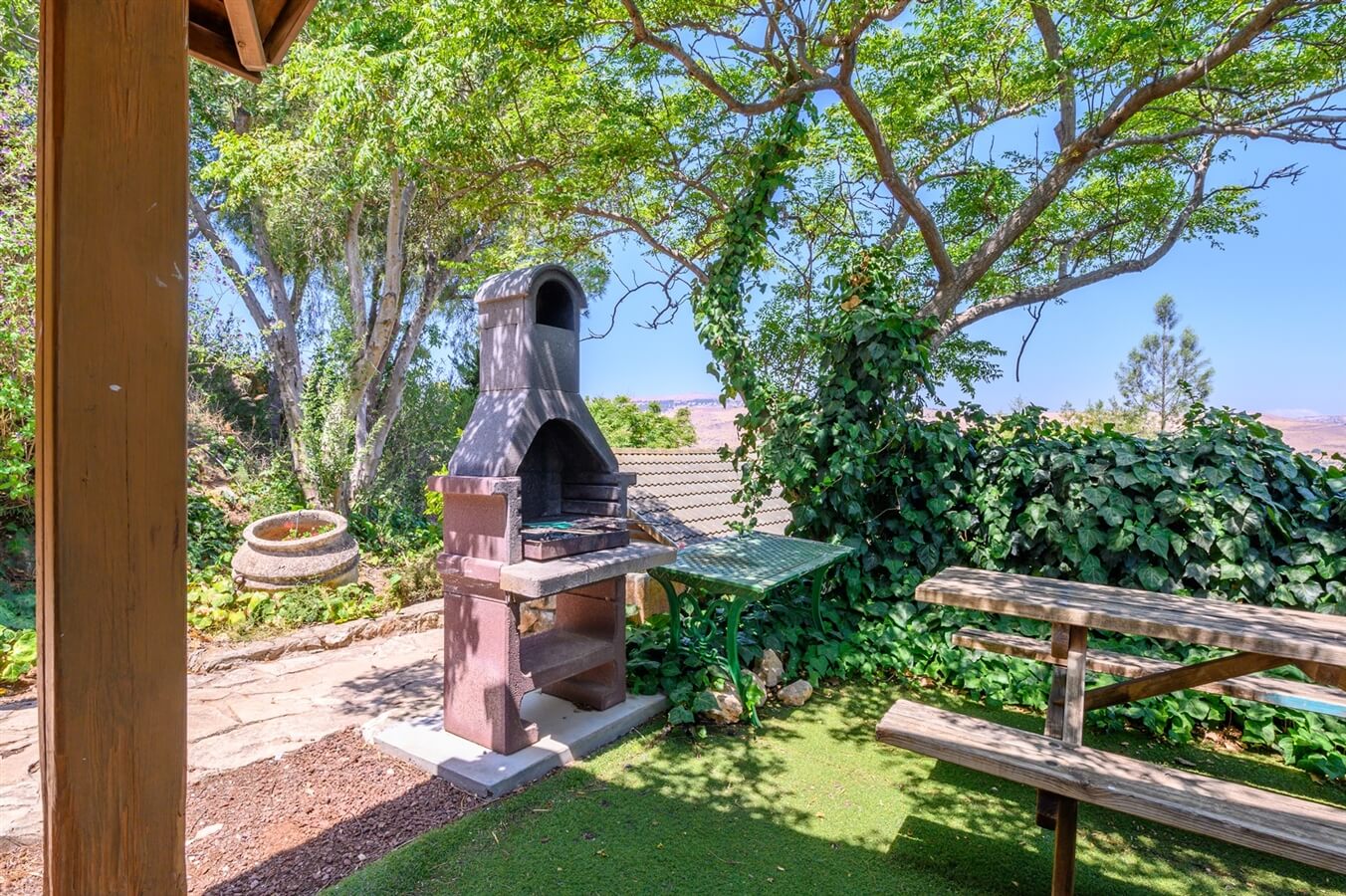 תמונה של שרדונה - 8