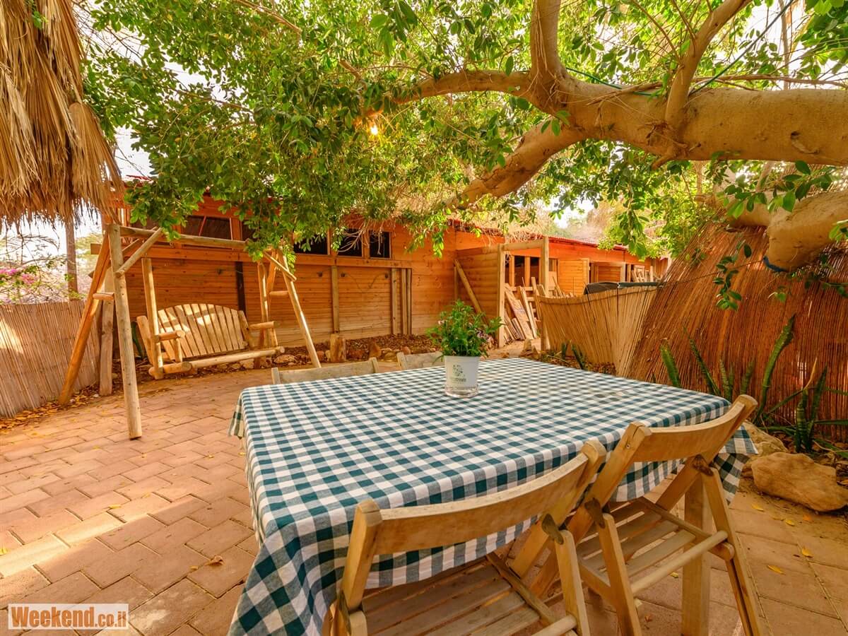 תמונה של בקתה מבודדת - 14