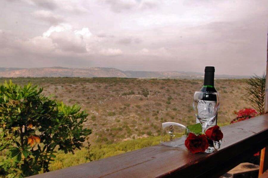 תמונה של הבקתה האפריקאית - 4