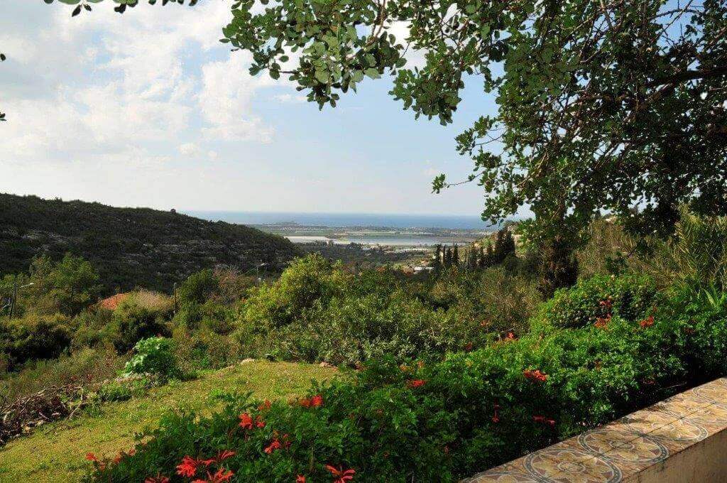 תמונה של יחידת גלריה - 5