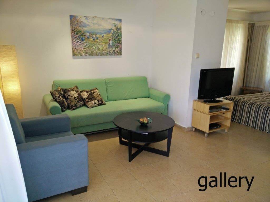 תמונה של יחידת גלריה - 9