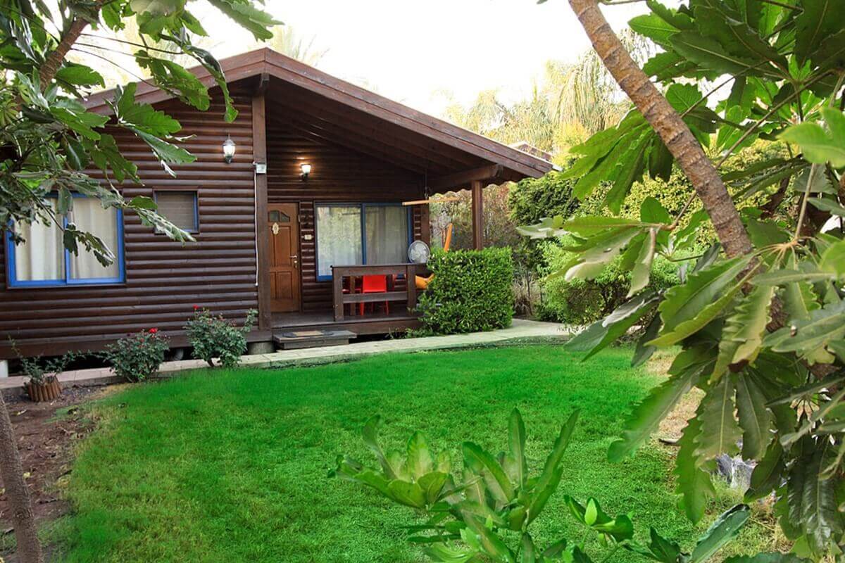 תמונה של בקתות עץ - 12