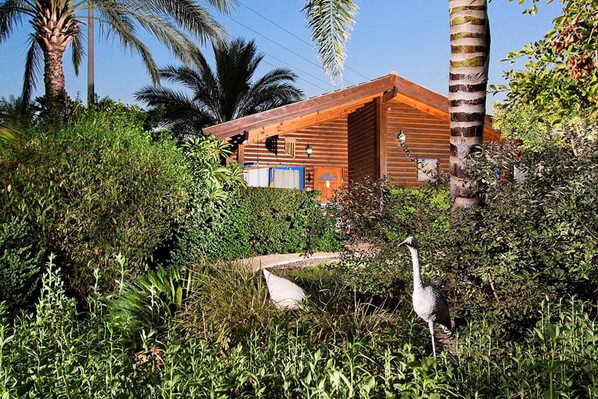 תמונה של בקתות עץ - 10