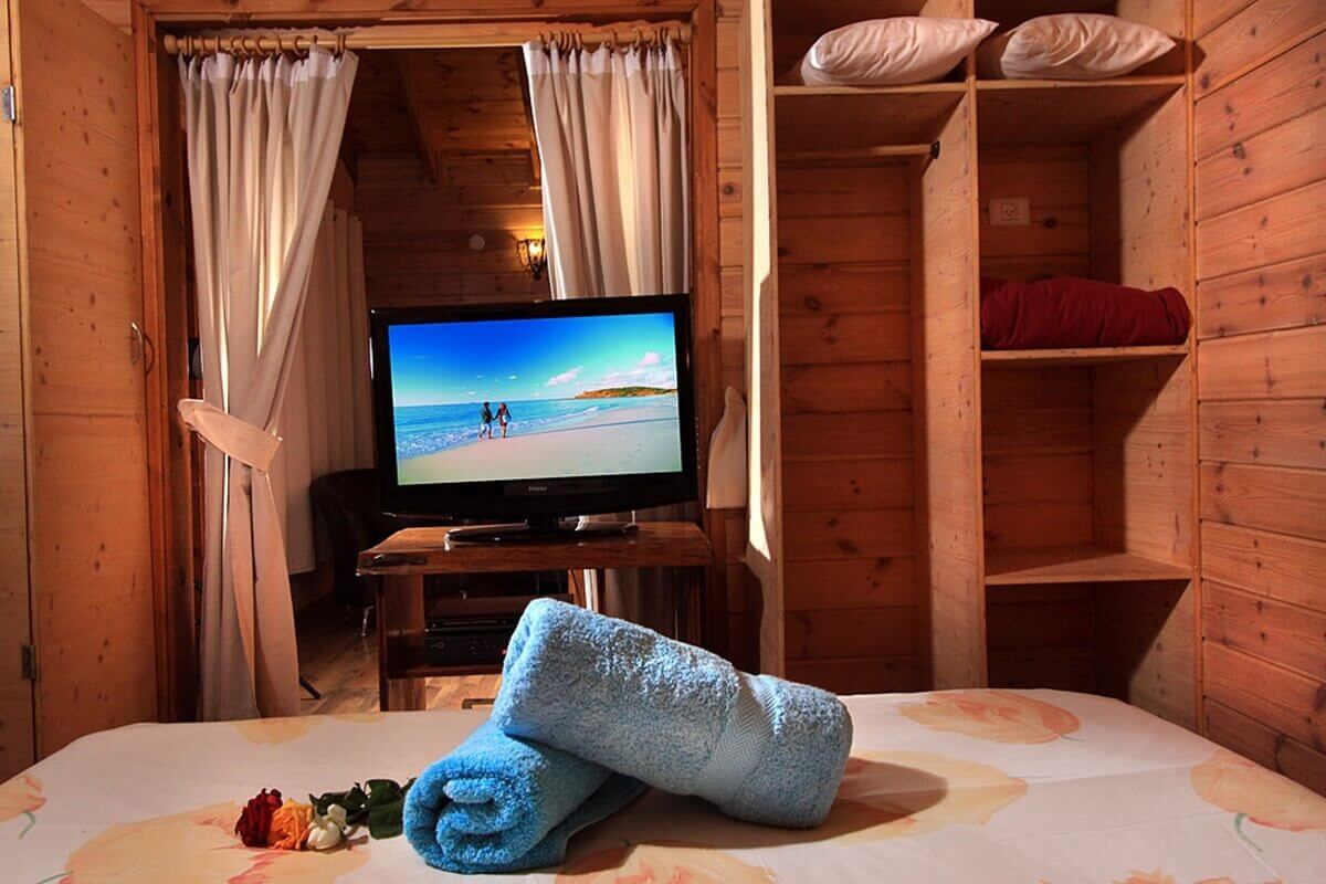 תמונה של בקתות עץ - 8