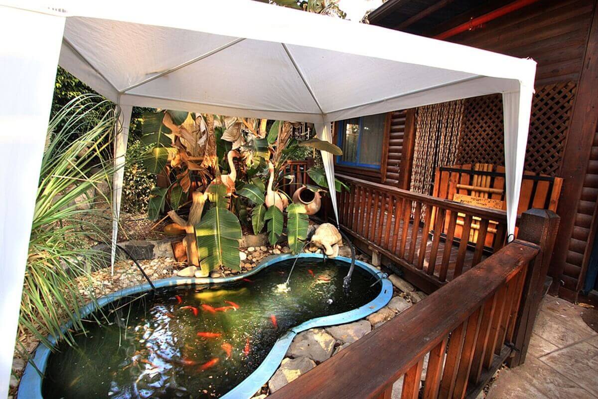 תמונה של בקתות עץ - 13