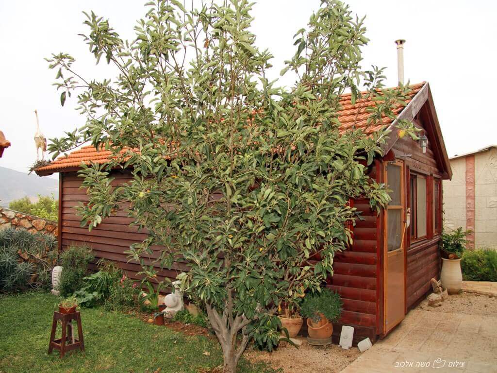 תמונה של צימר 1 - 7 תמונה של צימר 1 - 7