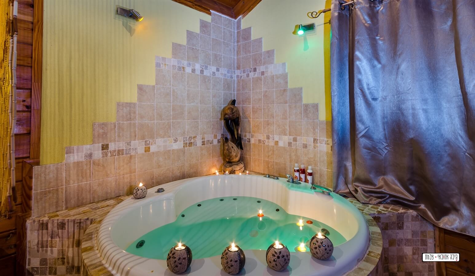 תמונה של פלוטו - 5