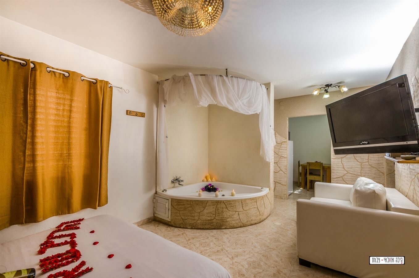 תמונה של שביט - 10