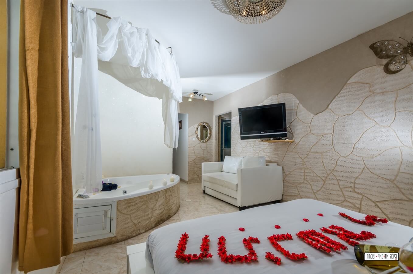 תמונה של שביט - 7