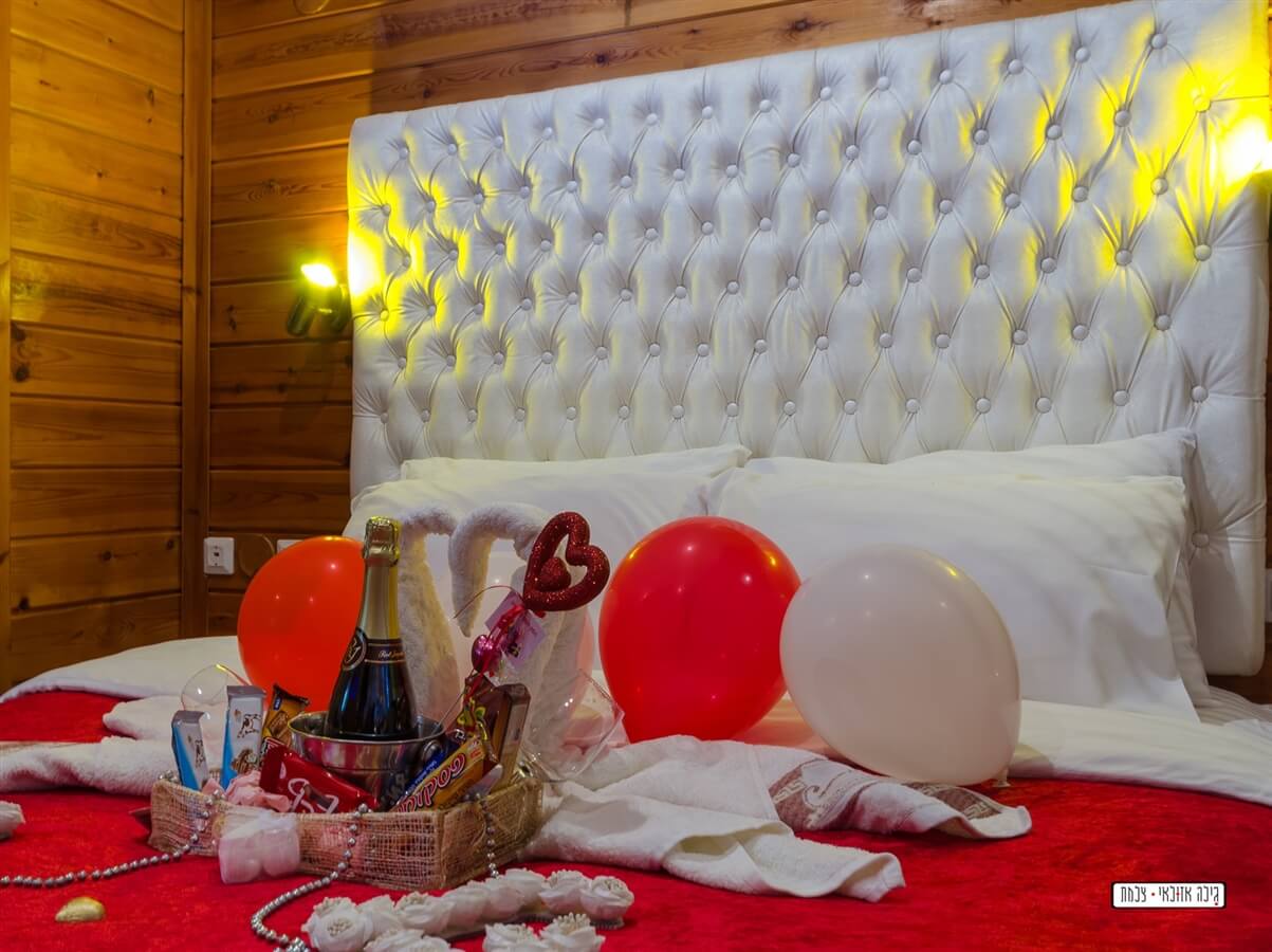 תמונה של פלוטו - 9