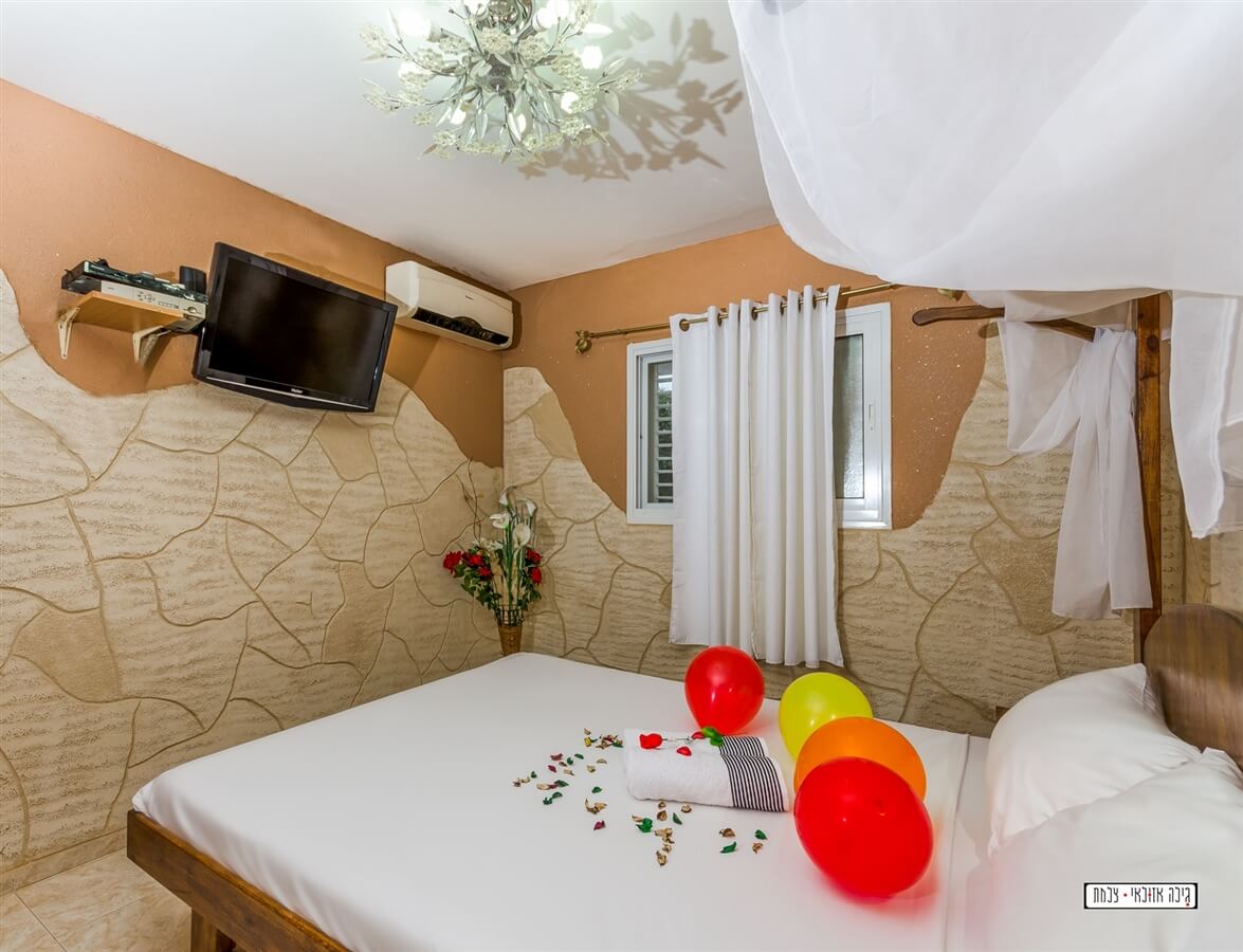 תמונה של ונוס - 4