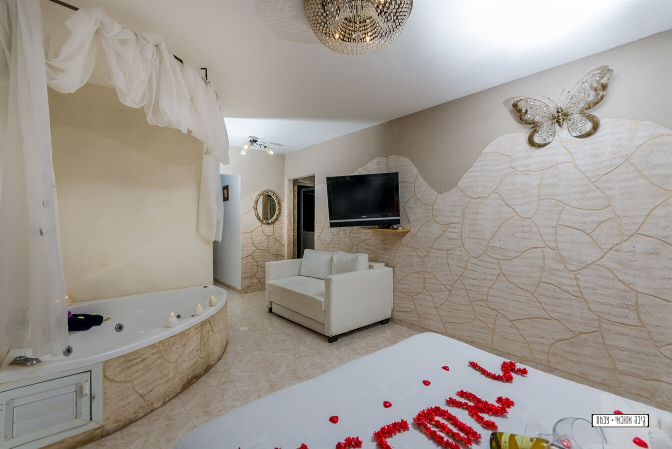 תמונה של שביט - 5