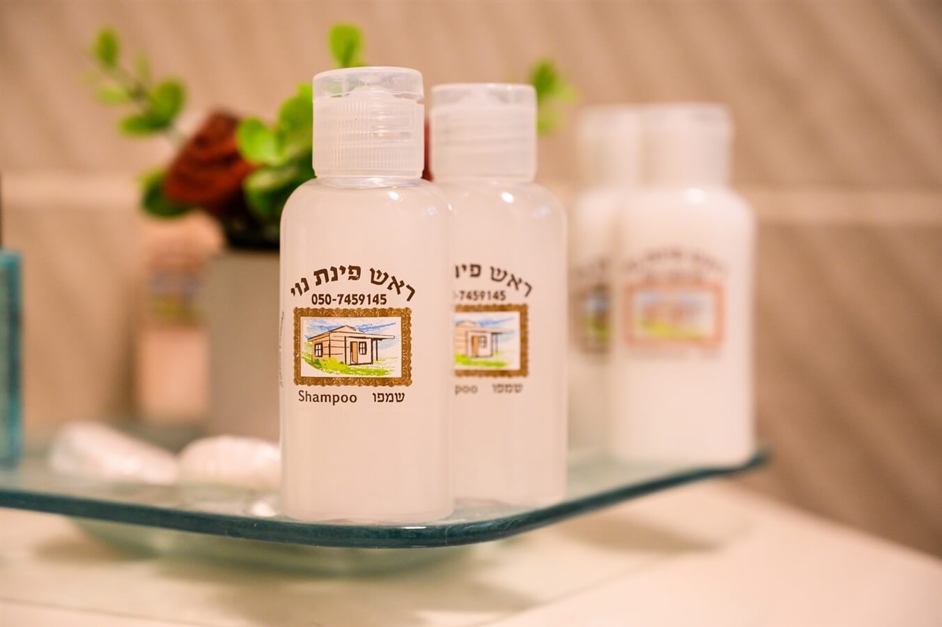 תמונה של הסוויטה - 11