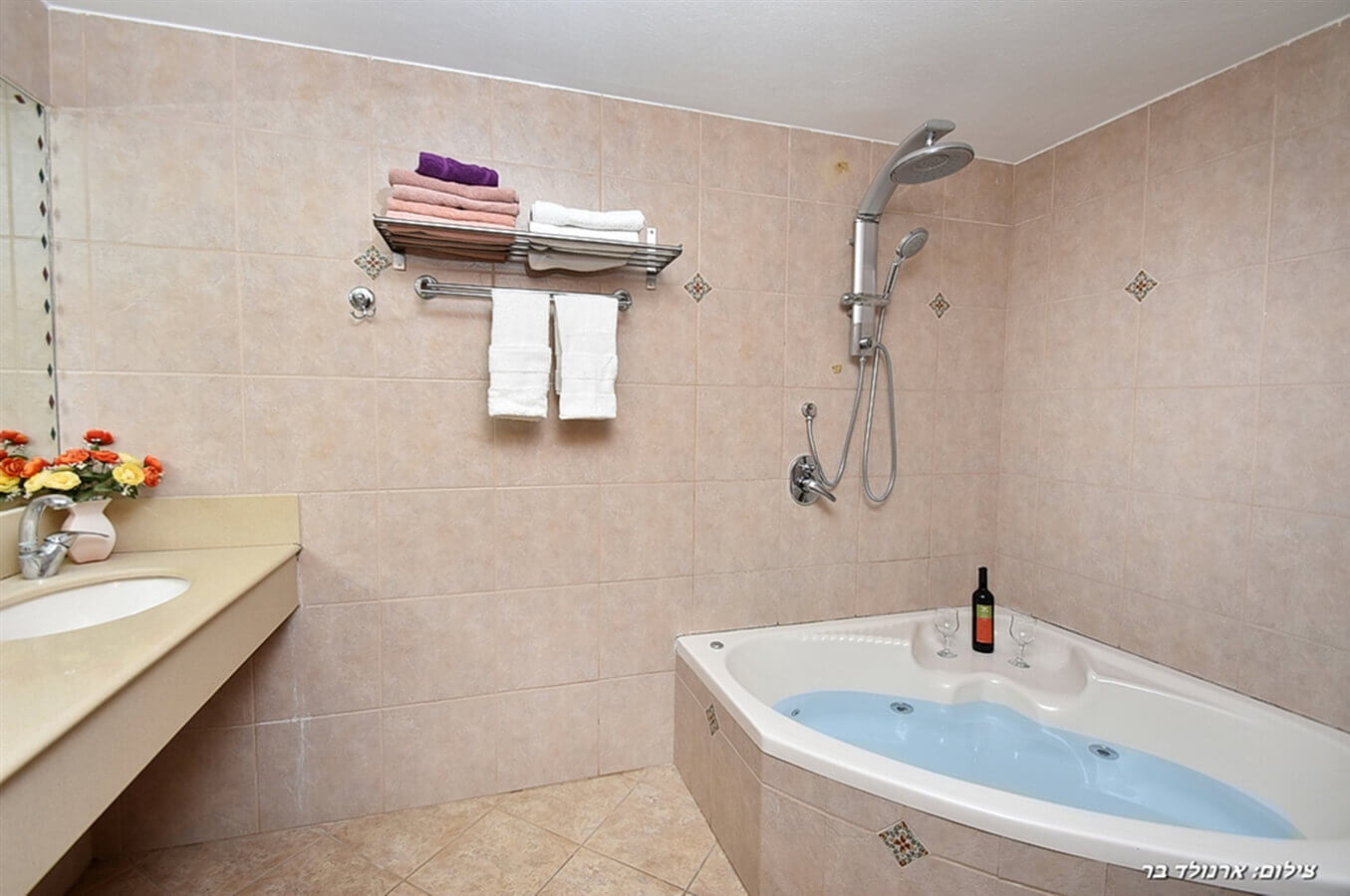 תמונה של יחידות האירוח - 3