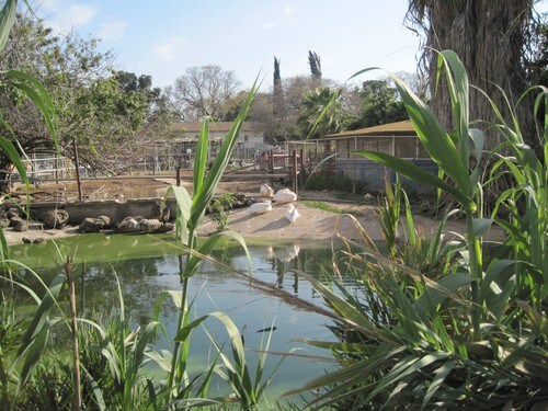 תמונה של מה בחווה