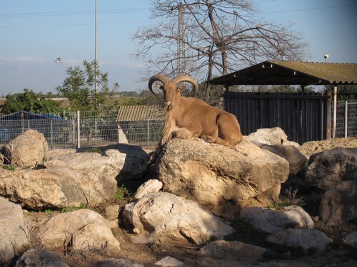 תמונה של מה בחווה