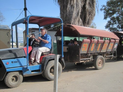 תמונה של מה בחווה