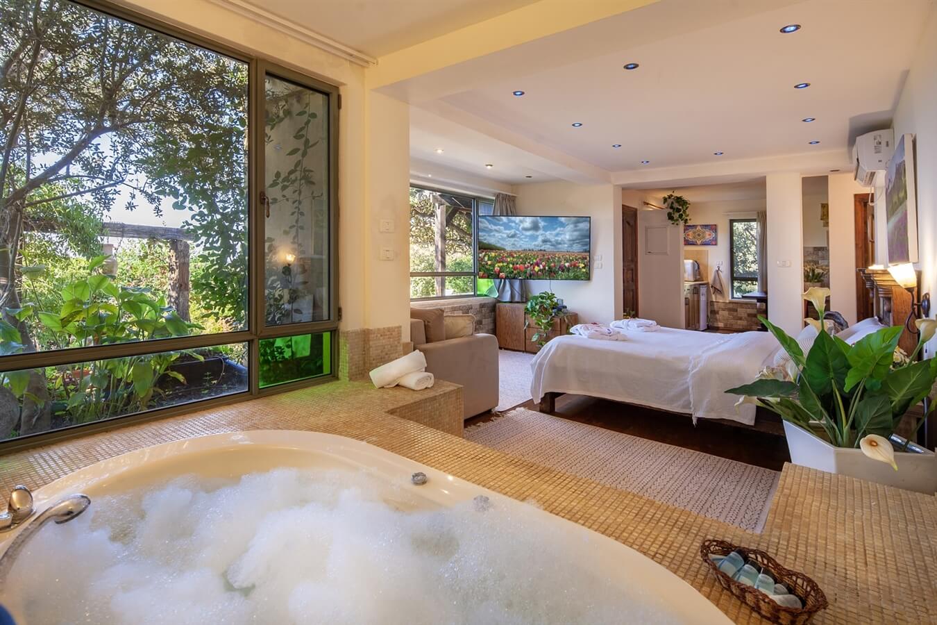 תמונה של סוויטת ארבל - 6