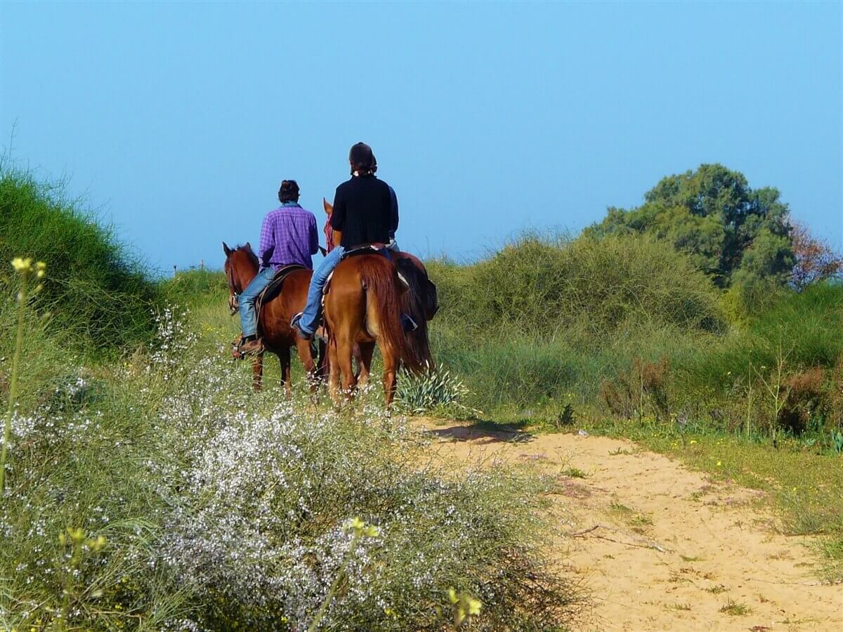 תמונה של בקתת רוח - 11