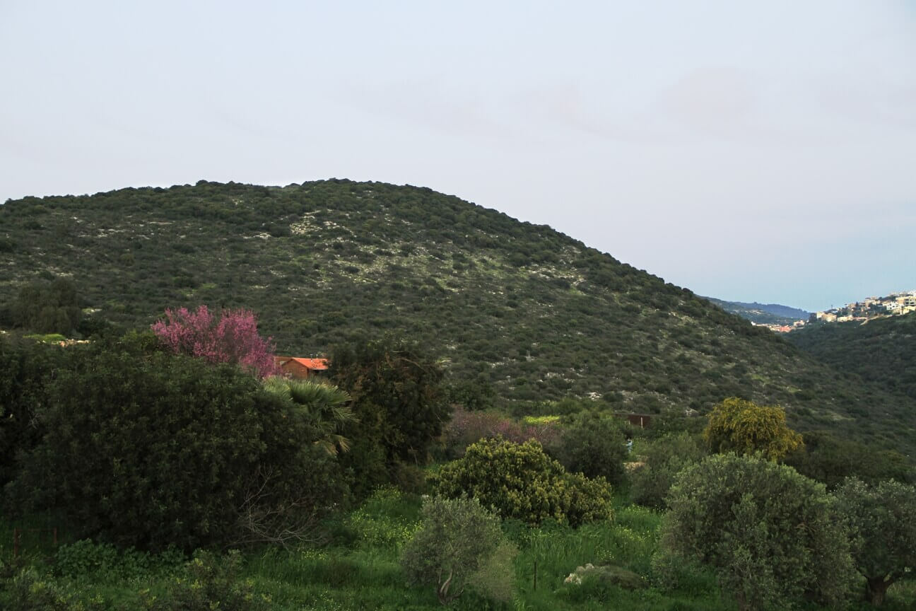 תמונה של בקתת התות - 3